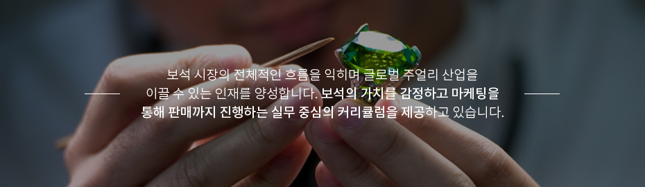 보석 시장의 전체적인 흐름을 익히며 글로벌 주얼리 산업을 이끌 수 있는 인재를 양성합니다. 보석의 가치를 감정하고 마케팅을 통해 판매까지 진행하는 실무 중심의 커리큘럼을 제공하고 있습니다.