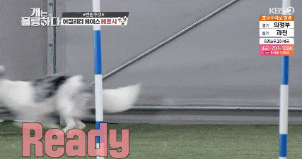 fa9ab393cf889a85730fb473b2db643e_1618908121_21.gif