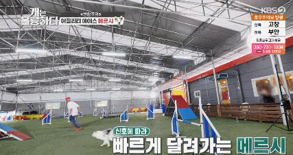 fa9ab393cf889a85730fb473b2db643e_1618908122_33.gif