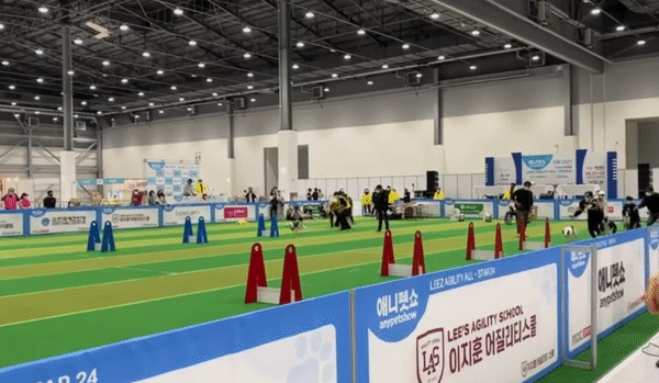 fa9ab393cf889a85730fb473b2db643e_1618908144_45.gif
